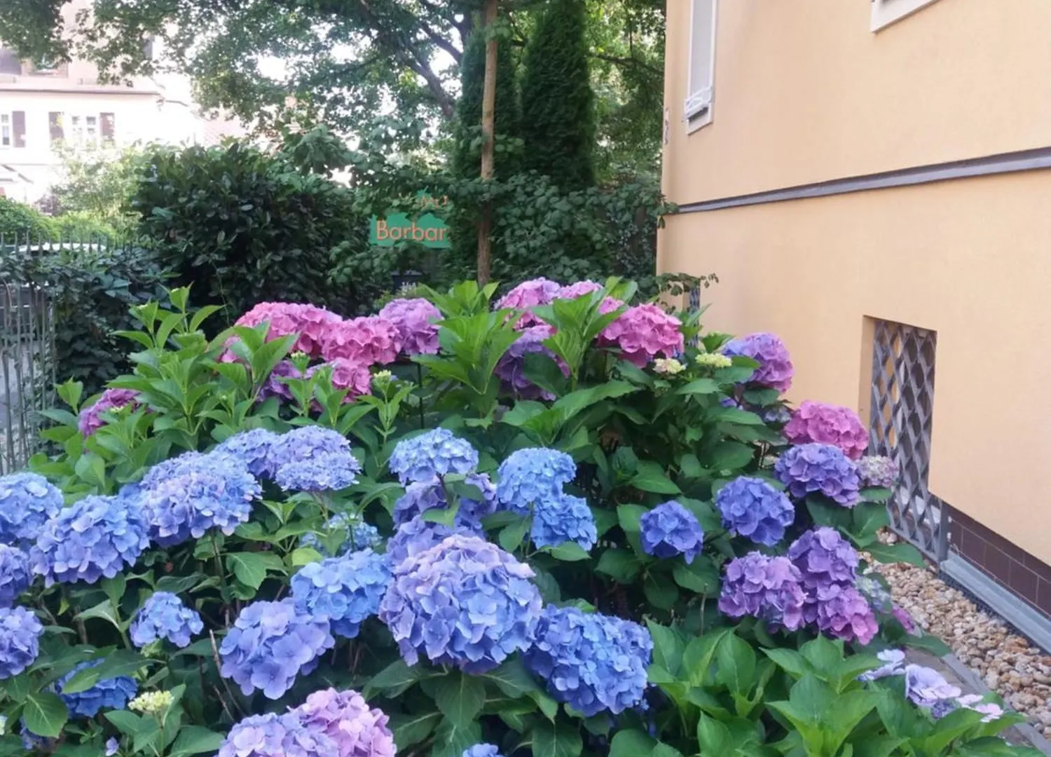 Apartment Barbara  Marianske Lazne