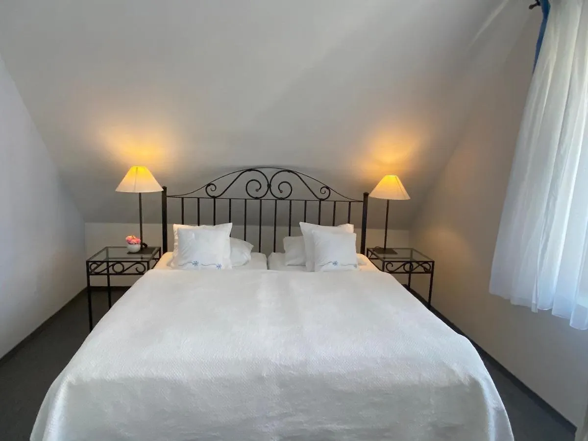 Apartment Barbara  Marianske Lazne